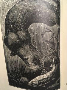 Tarka the Otter