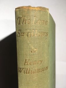 The Lone Swallows