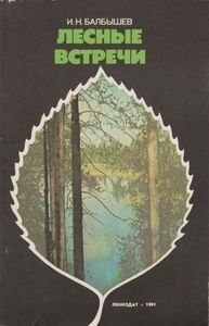 Лесные Встречи: Заметки Натуралиста