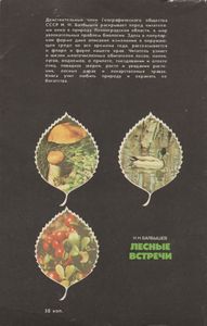 Лесные Встречи: Заметки Натуралиста