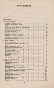 Лесные Встречи: Заметки Натуралиста