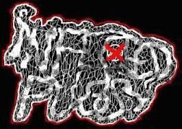 Infected Pussy