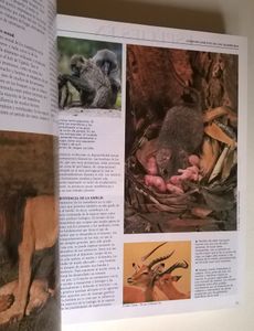Enciclopedia De Los Animales