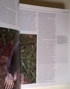 Enciclopedia De Los Animales