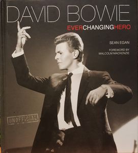 David Bowie Ever Changing Hero