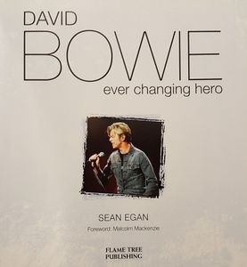 David Bowie Ever Changing Hero