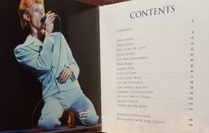 David Bowie Ever Changing Hero