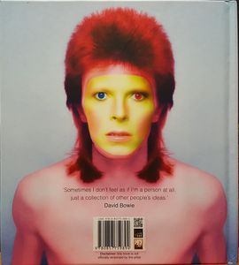 David Bowie Ever Changing Hero