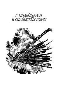 Ошибка Одинокого Бизона