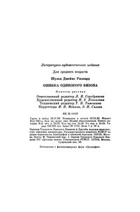 Ошибка Одинокого Бизона