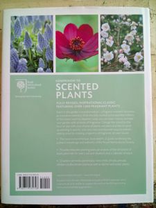 Royal Horticultural Society Companion To Scented Plants