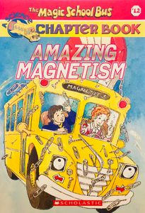 Amazing Magnetism
