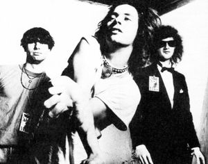 The Flaming Lips