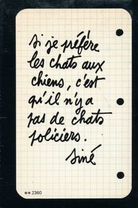 Je ne pense qu'a chat
