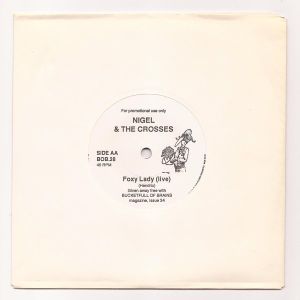 Bucketfull of Brains: Issue 34