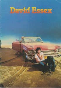 David Essex