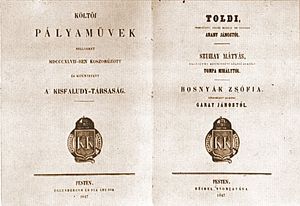 Toldi