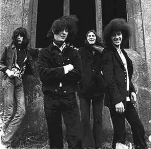 Pink Fairies