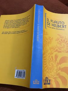 Il Flauto Di Hilbert. Storia della matematica.
