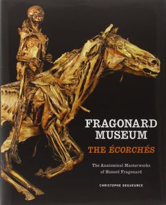 Fragonard Museum: The Écorchés