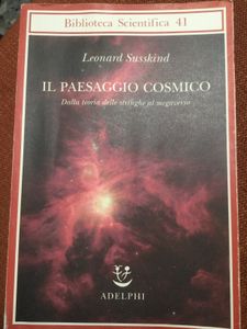 Il Paesaggio Cosmico. Dalla Teoria Delle Stringhe Al Megaverso