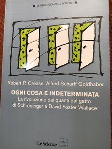Ogni Cosa E' Indeterminata. La Rivoluzione Dei Quanti Dal Gatto Di Schrödinger A David Foster Wallace