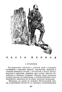 Жангада / Кораблекрушение "Джонатана"