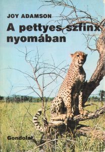 A pettyes szfinx nyomában