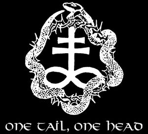 One Tail, One Head