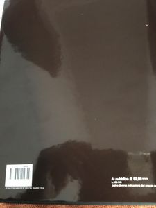 Visioni Della Simmetria, I Disegni Periodici Di M. C. ESCHER
