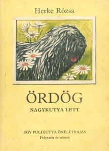Ördög nagykutya lett