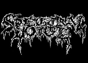 Spectral Voice