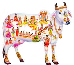 Gomatha