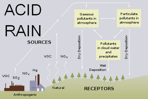 Acid rain