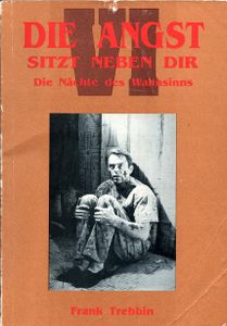 Die Angst sitzt neben Dir VI - Die Nächte des Wahnsinns