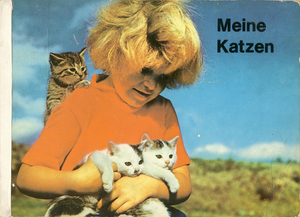 Meine Katzen