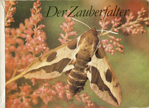 Der Zauberfalter