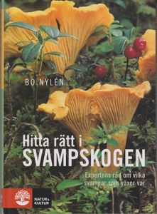 Hitta Rätt I Svampskogen