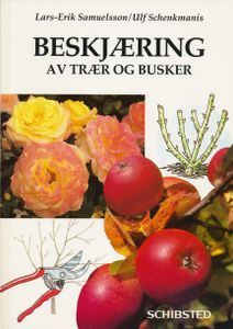 Beskjæring av trær og busker