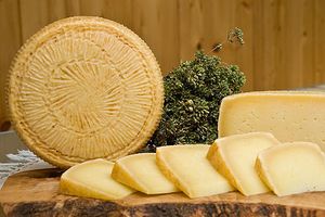 Pecorino di Filiano D.O.P.