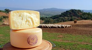 Pecorino Toscano D.O.P.