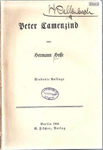 Peter Camenzind