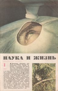 Наука И Жизнь 1967 № 1