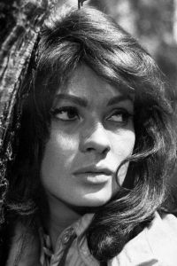 Ewa Krzyżewska