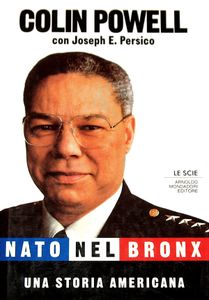 Nato Nel Bronx: Una Storia Americana