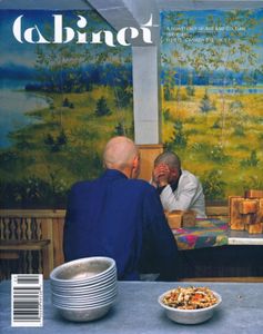 Cabinet Issue 46
