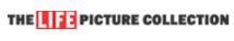 The Life Picture Collection