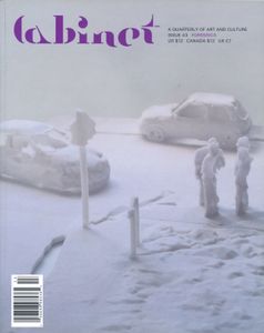 Cabinet Issue 43