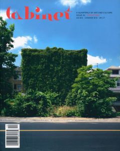 Cabinet Issue 42