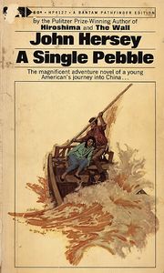A Single Pebble